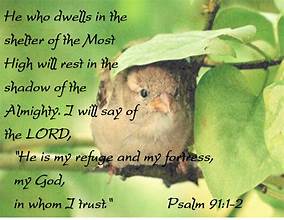 Abiding In Him