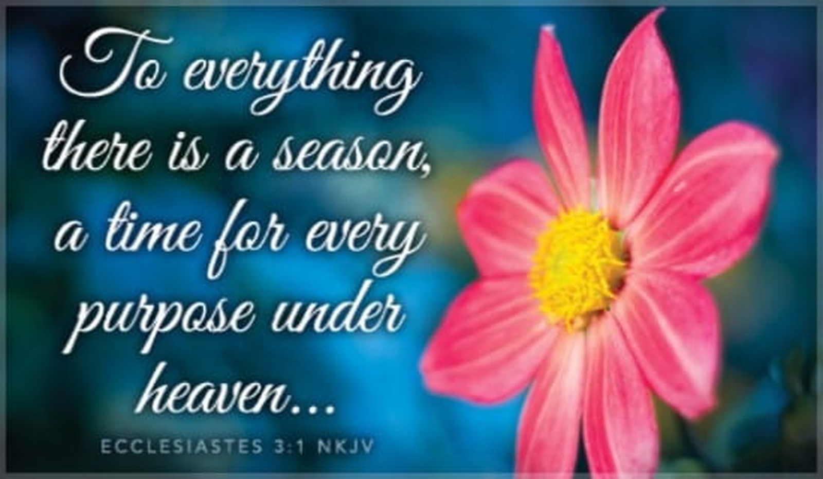 A Season For Everything